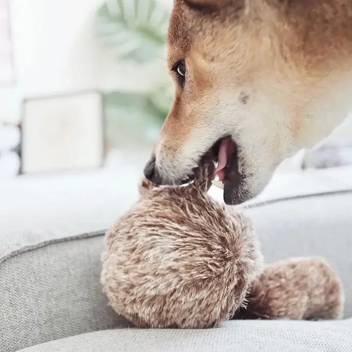 LAMBWOLF COLLECTIVE - SQUIRREL POP DOG TOY LARGE